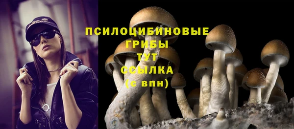 гидропоника Алзамай