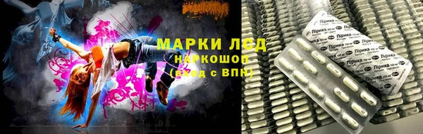 гидропоника Алзамай