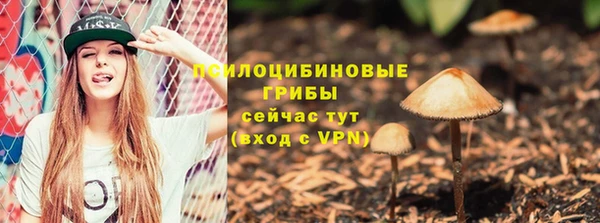 меф Алексин