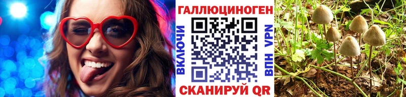 Галлюциногенные грибы Psilocybe наркота гидра tor Кирс